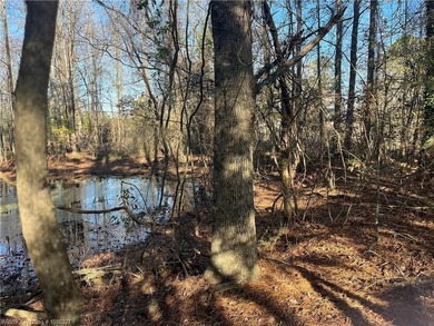 Welcome to this gorgeous open 18 acres surrounded by the - photo 24
