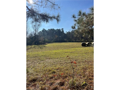 Welcome to this gorgeous open 18 acres surrounded by the - photo 25