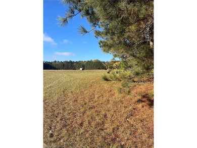 Welcome to this gorgeous open 18 acres surrounded by the - photo 28