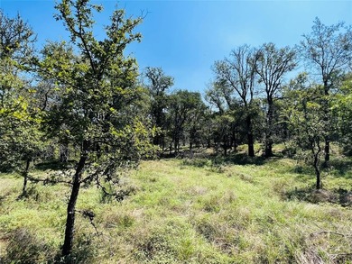 Brazos River - Palo Pinto County Acreage For Sale in Santo Texas