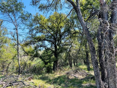13.39 ac. Property on I-20 just East of the HWY 281 intersection - photo 6