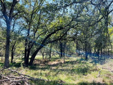 13.39 ac. Property on I-20 just East of the HWY 281 intersection - photo 9