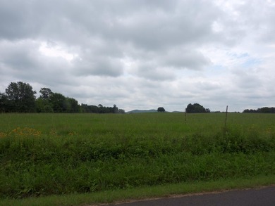 34.26 Acres of East Tennessee Beauty & Possibility Nestled in - photo 11