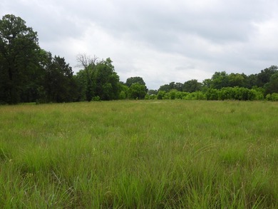 34.26 Acres of East Tennessee Beauty & Possibility Nestled in - photo 13