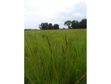 34.26 Acres of East Tennessee Beauty & Possibility Nestled in - photo 14
