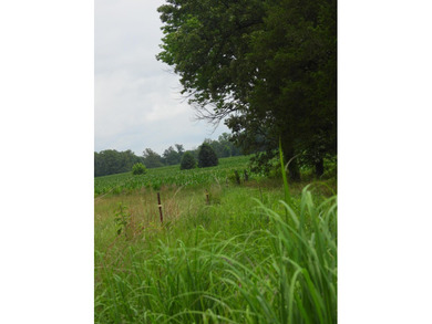 34.26 Acres of East Tennessee Beauty & Possibility Nestled in - photo 16