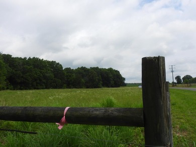 34.26 Acres of East Tennessee Beauty & Possibility Nestled in - photo 19