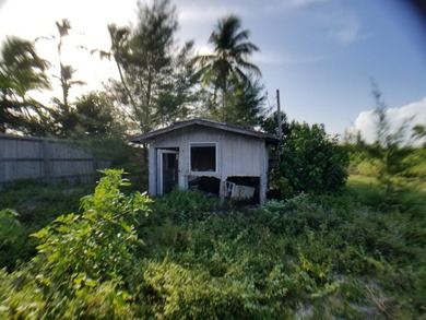 100 x 717 ft lot approximately 1.66 acres ocean front with real - photo 12