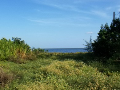 100 x 717 ft lot approximately 1.66 acres ocean front with real - photo 13
