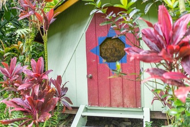 Self Sustaining Tropical Estate and Cacao Farm - Potential for - photo 13