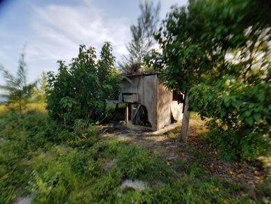100 x 717 ft lot approximately 1.66 acres ocean front with real - photo 14