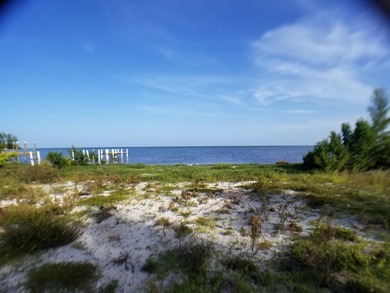 100 x 717 ft lot approximately 1.66 acres ocean front with real - photo 15