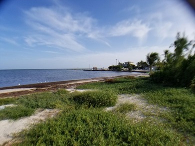 100 x 717 ft lot approximately 1.66 acres ocean front with real - photo 16