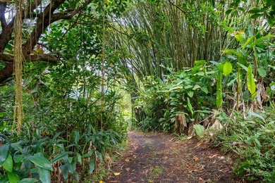 Self Sustaining Tropical Estate and Cacao Farm - Potential for - photo 16