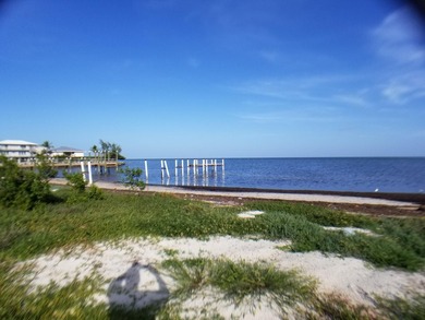 100 x 717 ft lot approximately 1.66 acres ocean front with real - photo 17