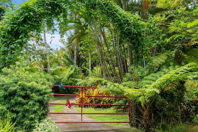 Self Sustaining Tropical Estate and Cacao Farm - Potential for - photo 17