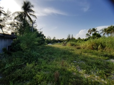 100 x 717 ft lot approximately 1.66 acres ocean front with real - photo 18