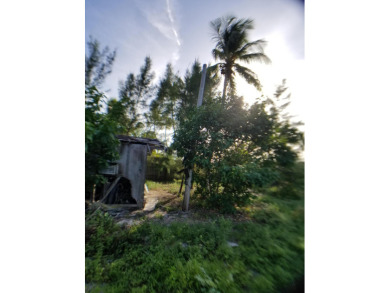 100 x 717 ft lot approximately 1.66 acres ocean front with real - photo 19