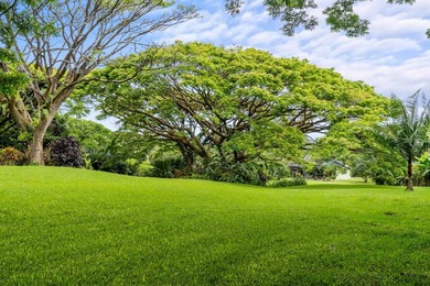 Self Sustaining Tropical Estate and Cacao Farm - Potential for - photo 20