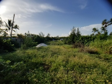 100 x 717 ft lot approximately 1.66 acres ocean front with real - photo 21