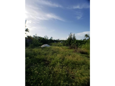 100 x 717 ft lot approximately 1.66 acres ocean front with real - photo 22
