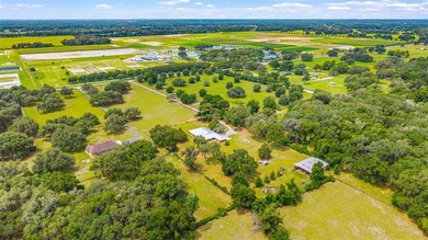 Timeless craftsmanship, wide-open spaces, and the kind of horse - photo 22