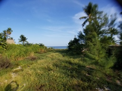 100 x 717 ft lot approximately 1.66 acres ocean front with real - photo 23