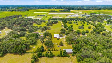 Timeless craftsmanship, wide-open spaces, and the kind of horse - photo 23