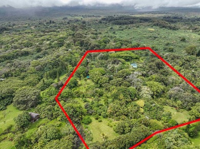 Self Sustaining Tropical Estate and Cacao Farm - Potential for - photo 23
