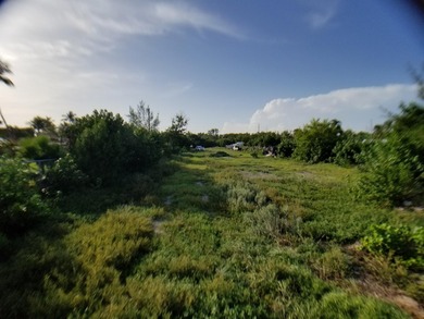 100 x 717 ft lot approximately 1.66 acres ocean front with real - photo 24