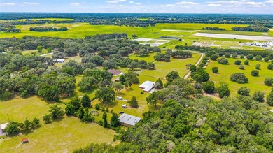 Timeless craftsmanship, wide-open spaces, and the kind of horse - photo 24