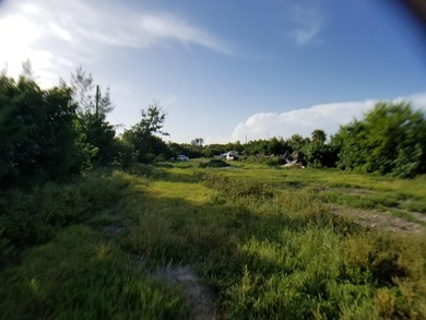 100 x 717 ft lot approximately 1.66 acres ocean front with real - photo 25