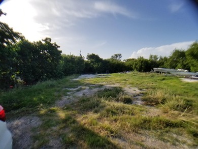 100 x 717 ft lot approximately 1.66 acres ocean front with real - photo 26
