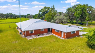 Timeless craftsmanship, wide-open spaces, and the kind of horse - photo 29