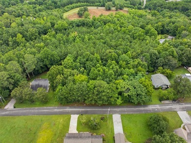 Build Your Dream Home on Lot 26 Troy Drive - Pine Henge - photo 3