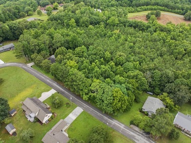 Build Your Dream Home on Lot 25 Troy Drive - Pine Henge - photo 2