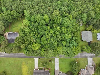 Build Your Dream Home on Lot 25 Troy Drive - Pine Henge - photo 4