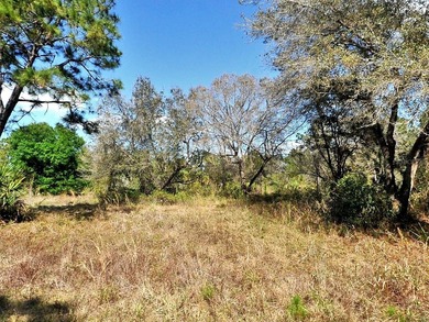 Northport Waterway Lakes and Canals Lot For Sale in North Port Florida