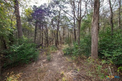 Tahitian Village, located in Bastrop, TX, is a peaceful - photo 6