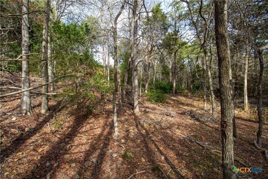 Tahitian Village, located in Bastrop, TX, is a peaceful - photo 8