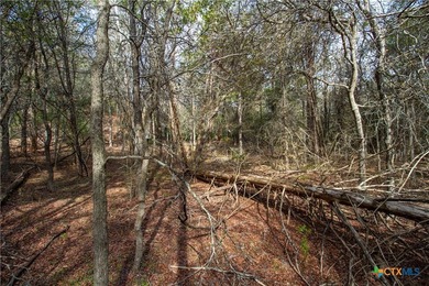 Tahitian Village, located in Bastrop, TX, is a peaceful - photo 9