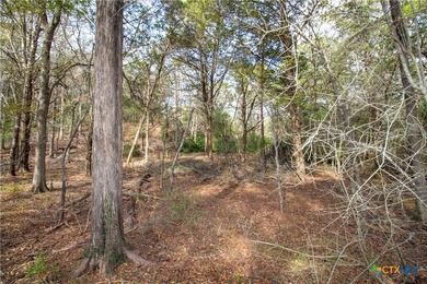 Tahitian Village, located in Bastrop, TX, is a peaceful - photo 10
