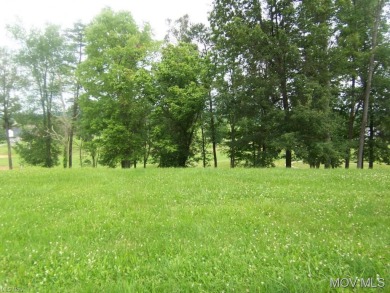 (private lake, pond, creek) Lot For Sale in Mineral Wells West Virginia