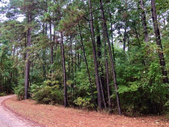 Looking to be in a highly desired area for a great weekend - Lake Lot For Sale in Broaddus, Texas