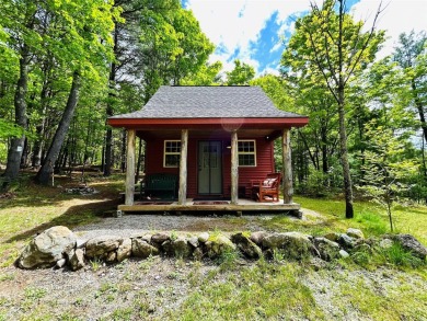 Lake Home For Sale in Call Listing Agent, New York