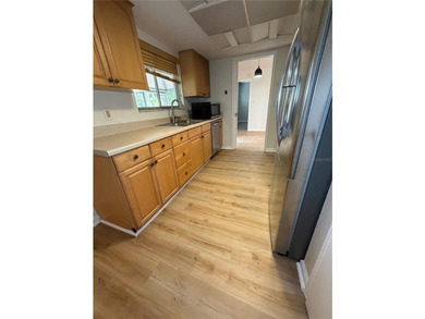 Freshly updated! Welcome to 3024 Blown Feather Lane, Mulberry - photo 4
