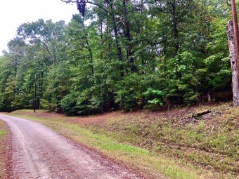 Looking to be in a highly desired area for a great weekend - Lake Lot Sale Pending in Broaddus, Texas