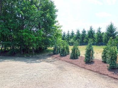 Recently completed new quality built and designed colonial home - photo 22