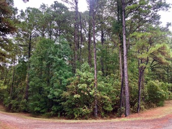 Looking to be in a highly desired area for a great weekend - Lake Lot For Sale in Broaddus, Texas