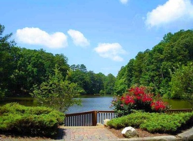 Lake lot. Cul-de-sac. Privacy. Chimney Lakes. One of the larger - photo 43
